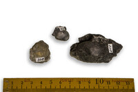 F 00308
<br/>
<br/>
<em></em>